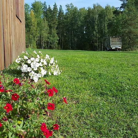 Вилла Priedisi Аглона Номер фото